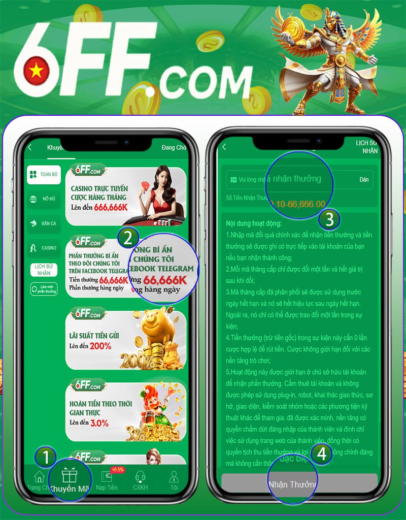 6ff22